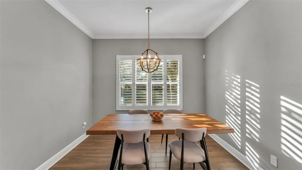 6247 Hawk Grove Court Wesley Chapel FL 33545