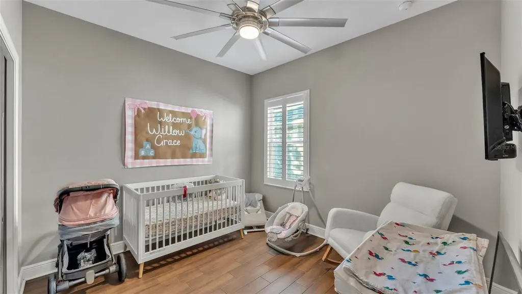 6247 Hawk Grove Court Wesley Chapel FL 33545