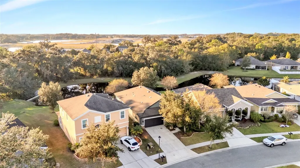 6247 Hawk Grove Court Wesley Chapel FL 33545