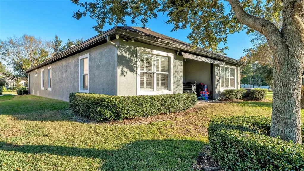 6247 Hawk Grove Court Wesley Chapel FL 33545