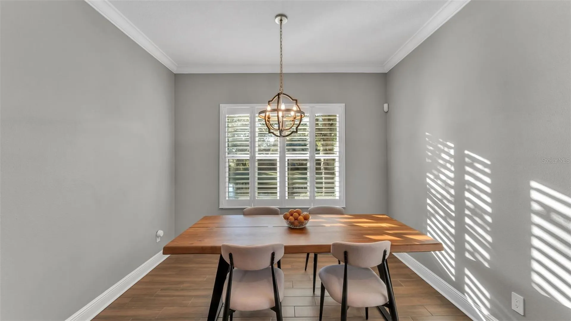 6247 Hawk Grove Court Wesley Chapel FL 33545