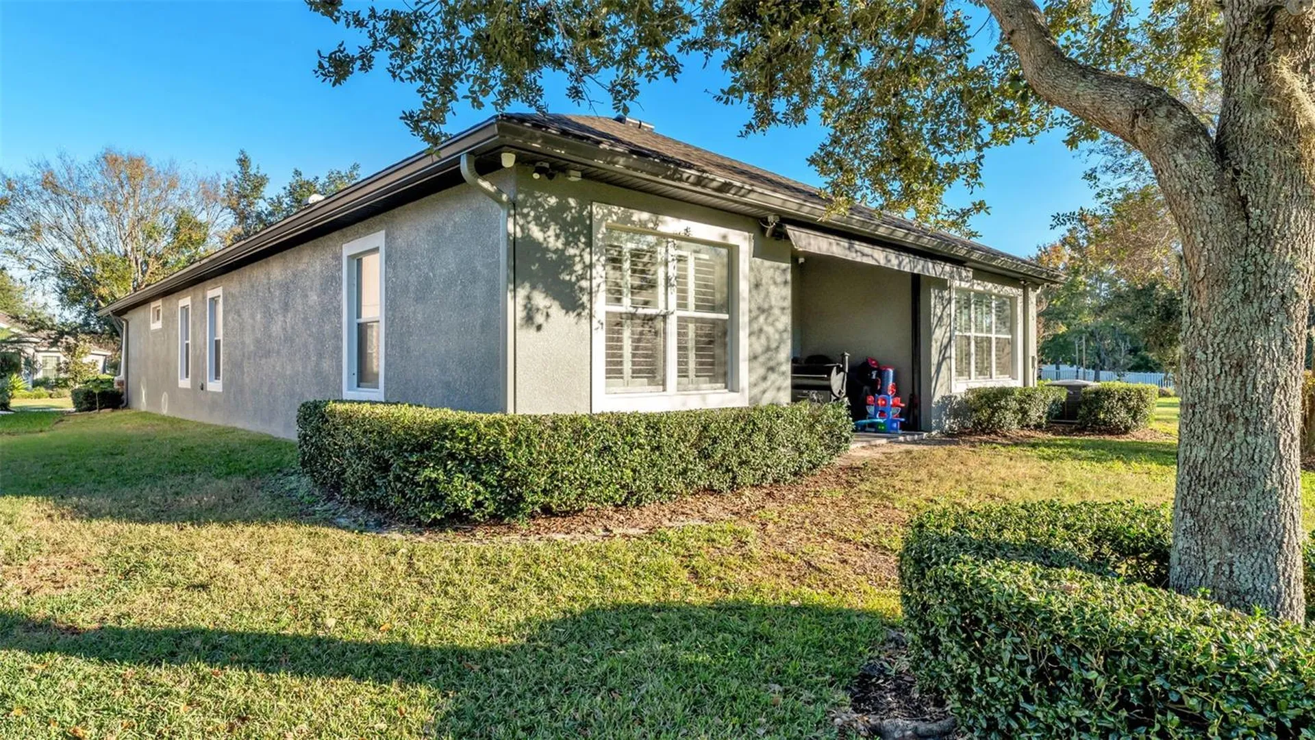 6247 Hawk Grove Court Wesley Chapel FL 33545