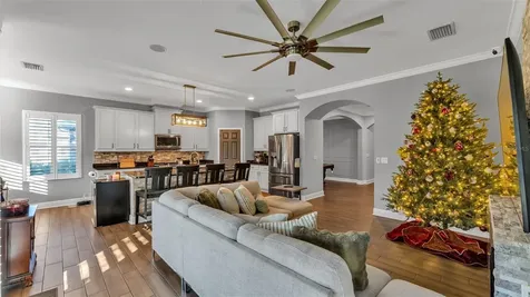 6247 Hawk Grove Court Wesley Chapel FL 33545