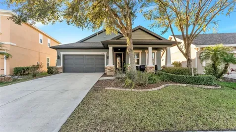 6247 Hawk Grove Court Wesley Chapel FL 33545