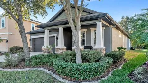 6247 Hawk Grove Court Wesley Chapel FL 33545