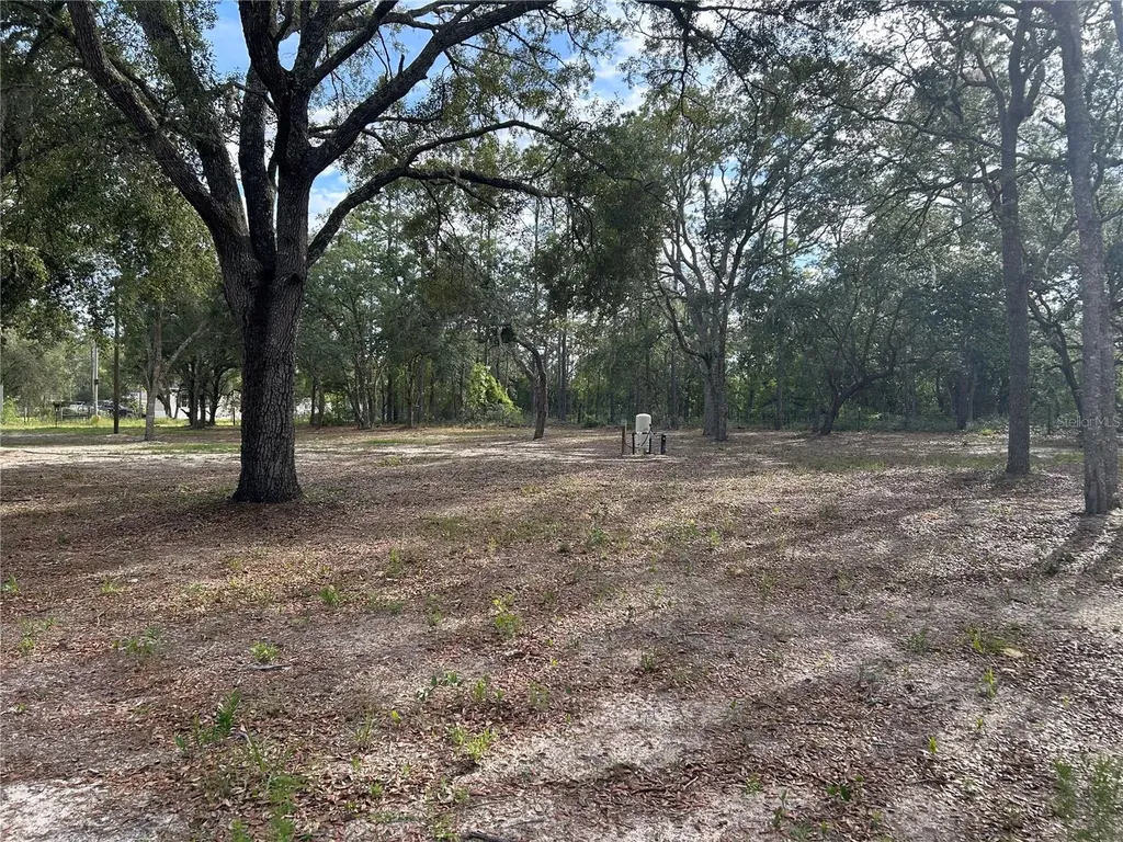 13751 NE 5th Street Williston FL 32696