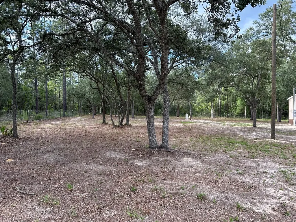 13751 NE 5th Street Williston FL 32696