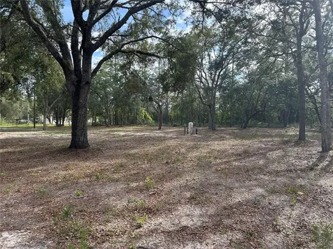 13751 NE 5th Street Williston FL 32696