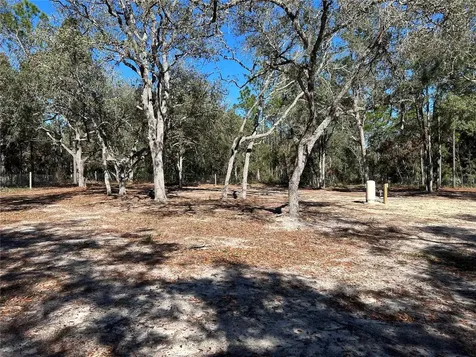 13751 NE 5th Street Williston FL 32696