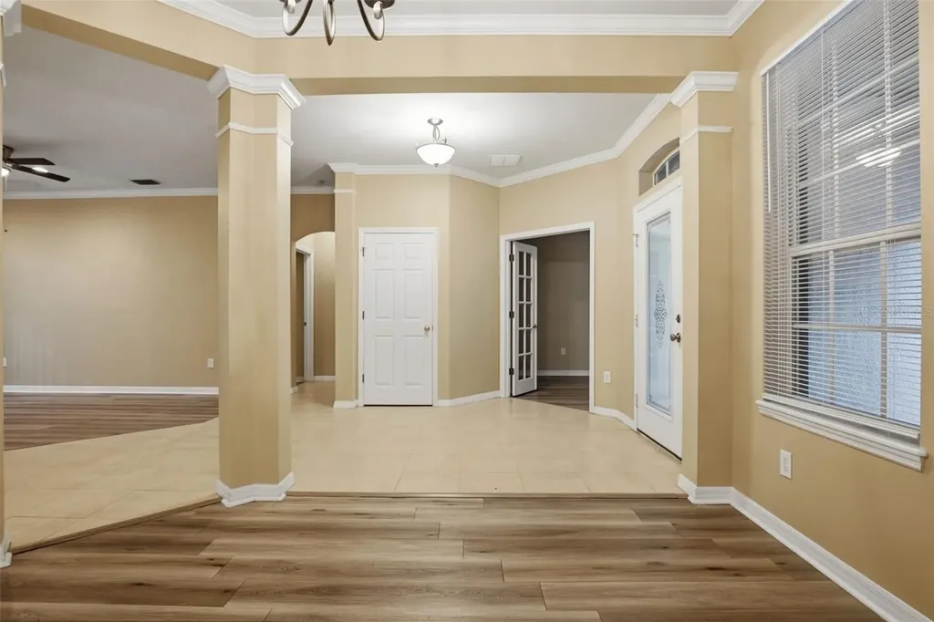 16161 Colchester Palms Drive Tampa FL 33647