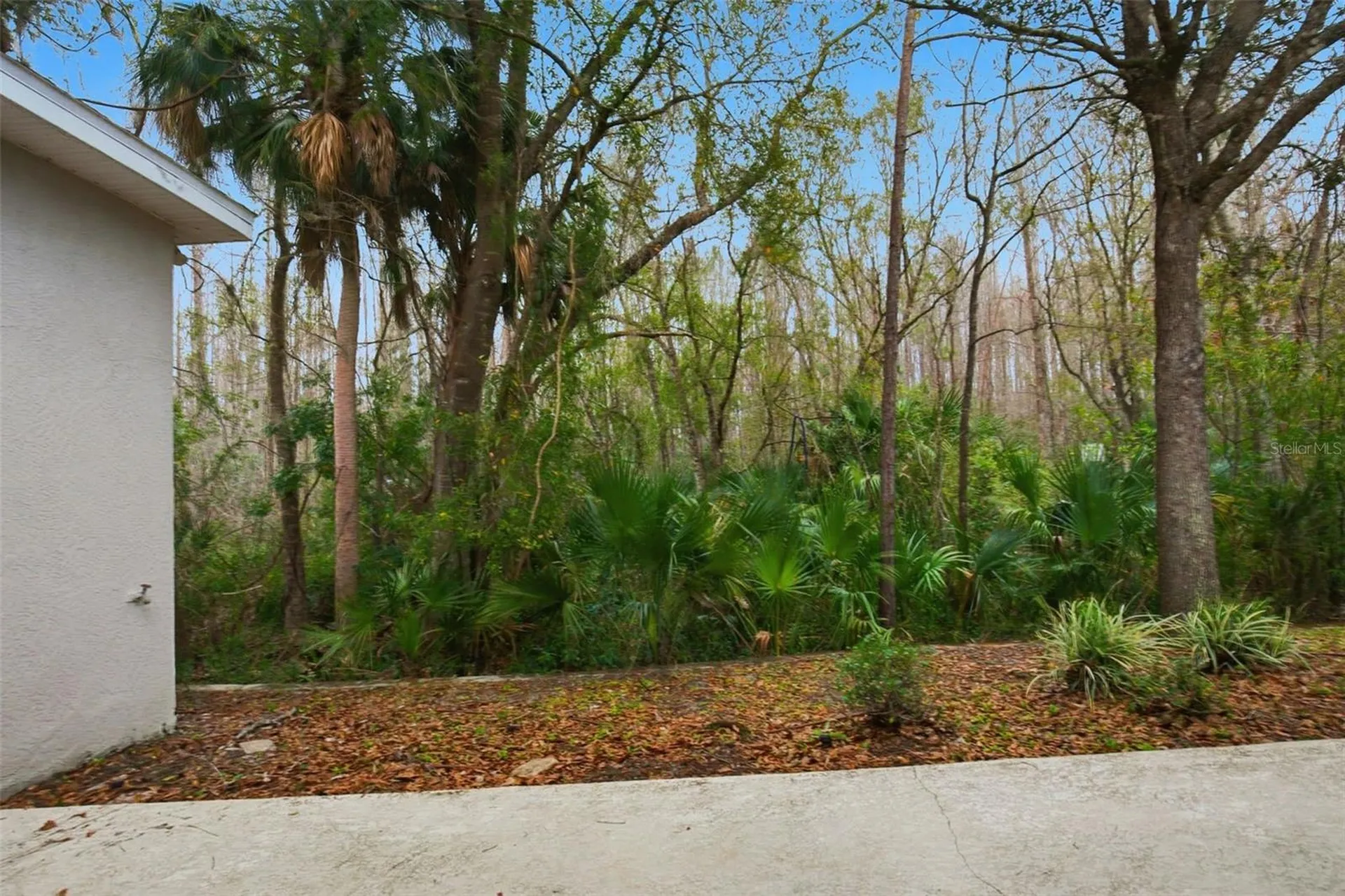 16161 Colchester Palms Drive Tampa FL 33647