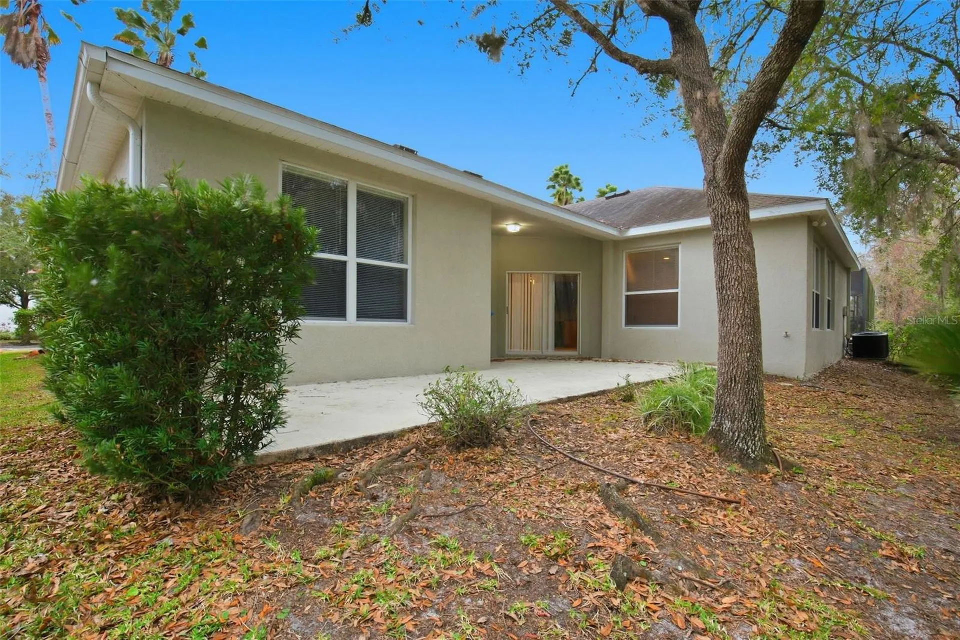 16161 Colchester Palms Drive Tampa FL 33647