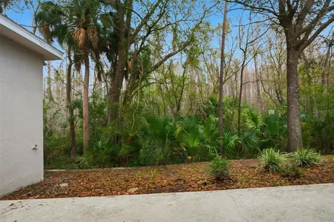 16161 Colchester Palms Drive Tampa FL 33647
