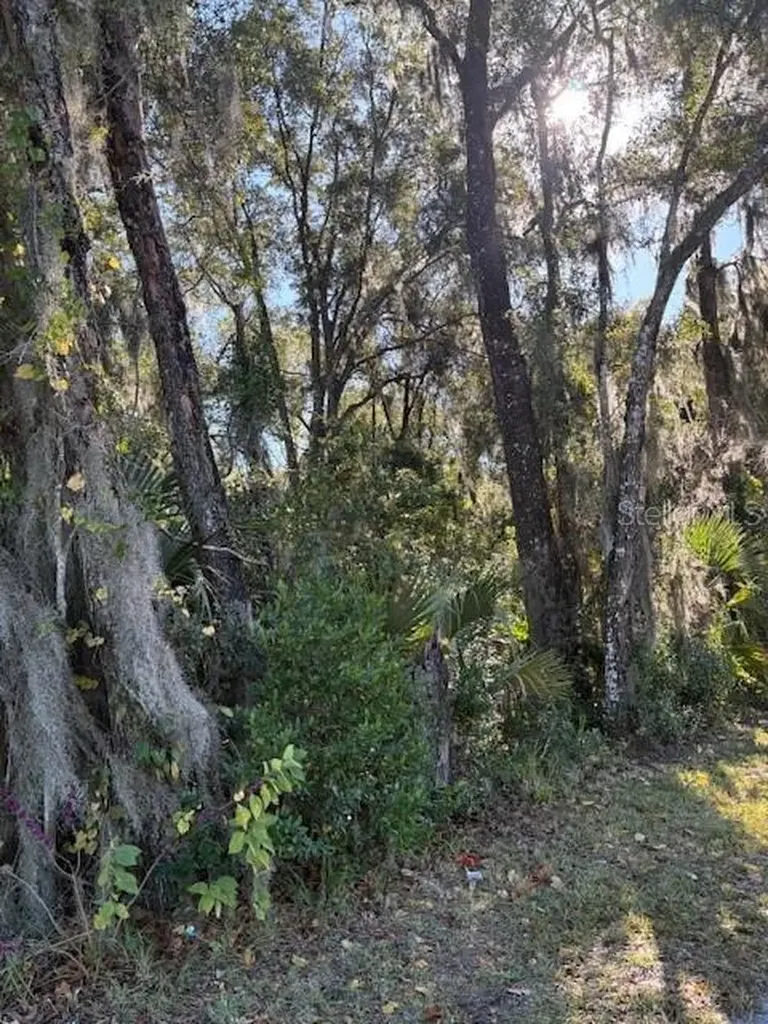 345 S Ridgewood Avenue Deland FL 32720