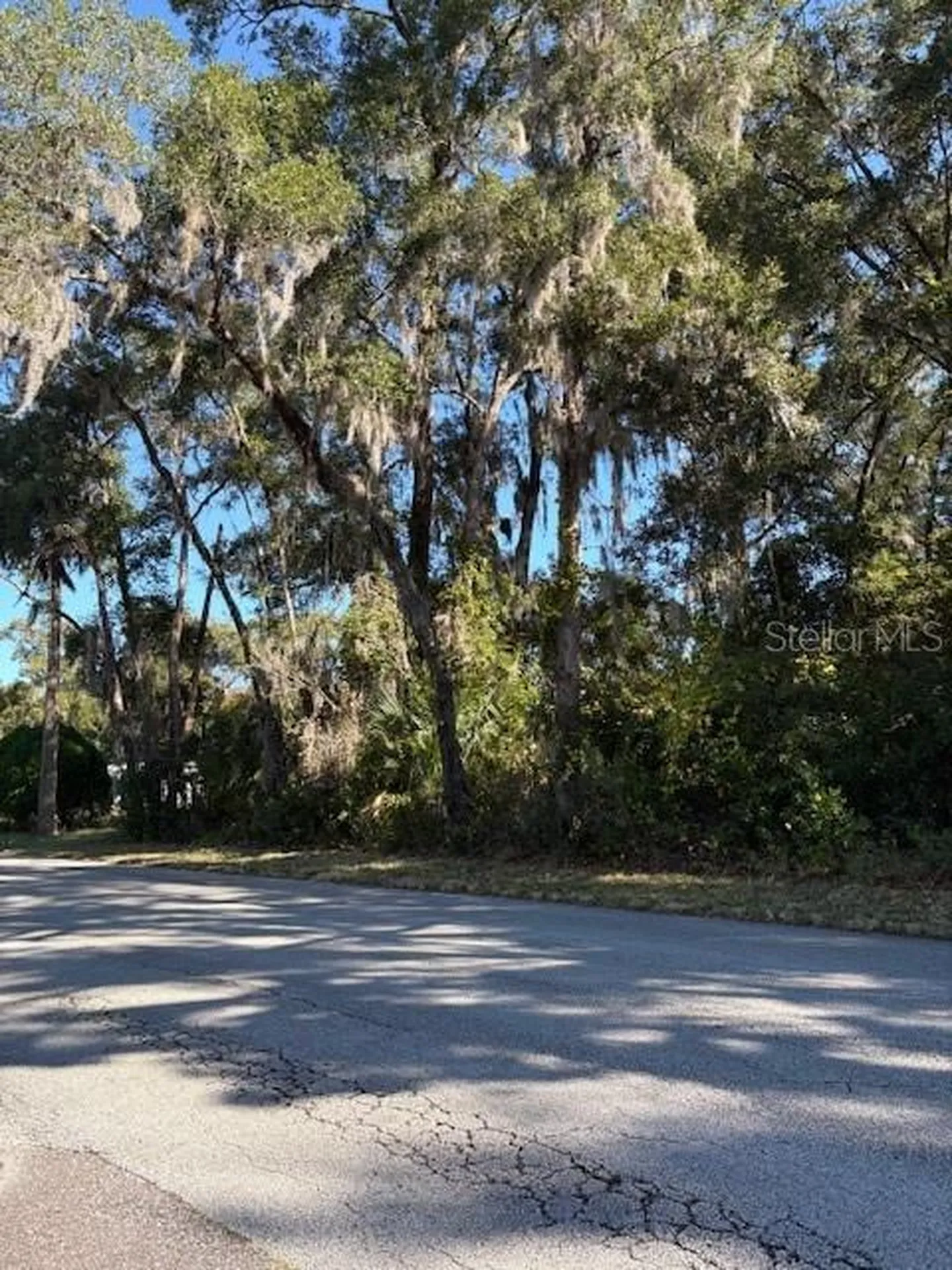 345 S Ridgewood Avenue Deland FL 32720