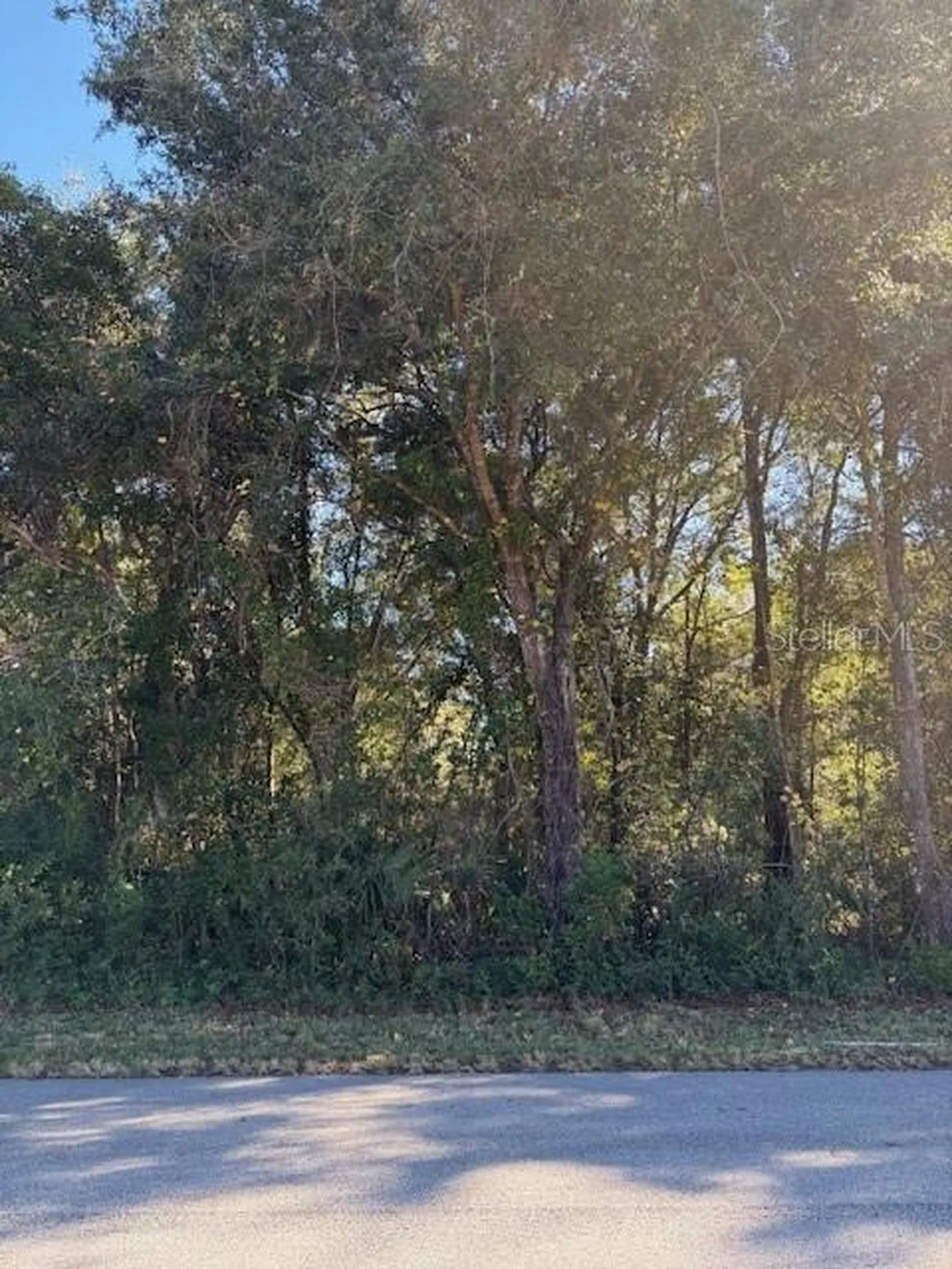 345 S Ridgewood Avenue Deland FL 32720