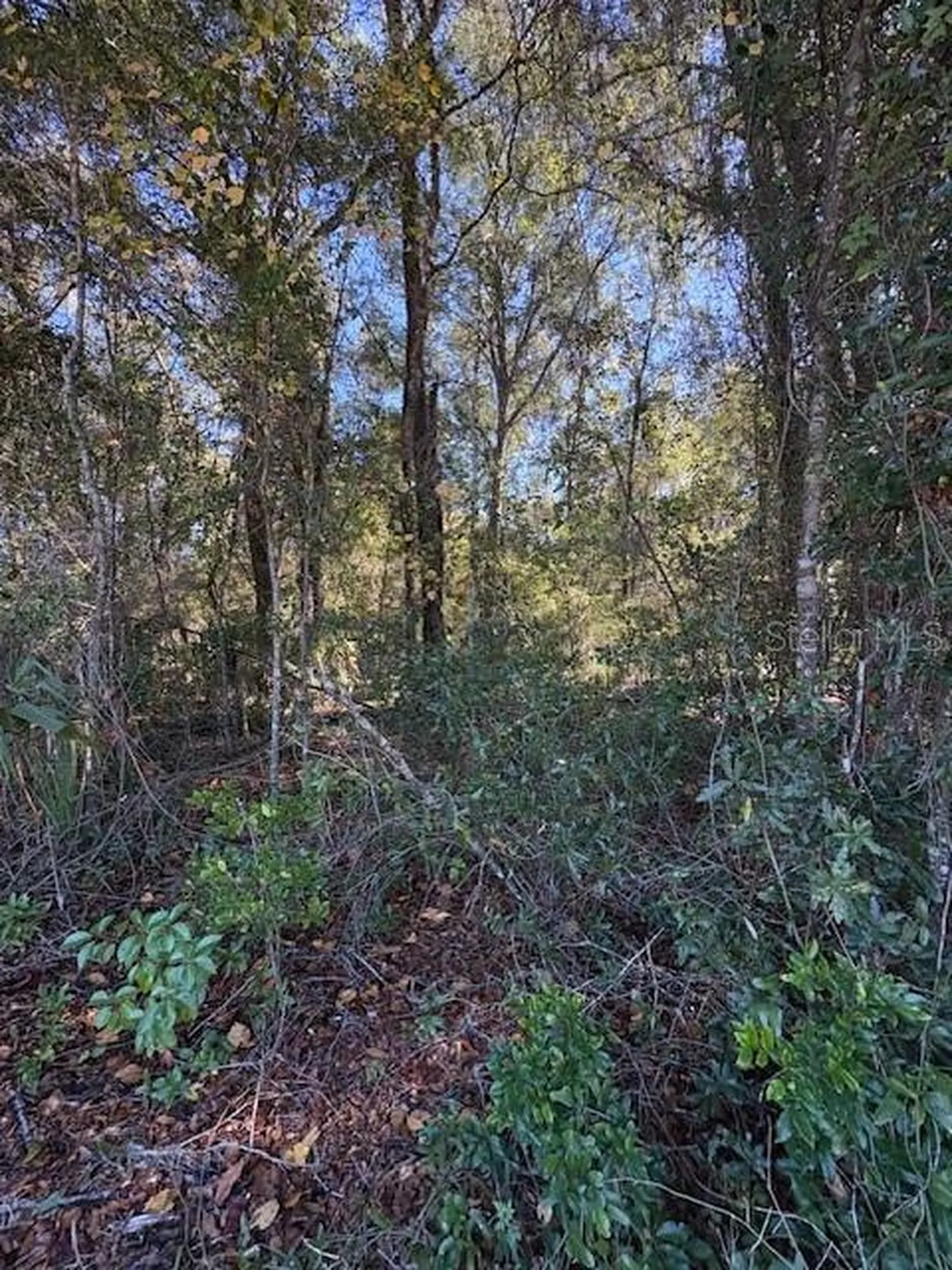 345 S Ridgewood Avenue Deland FL 32720