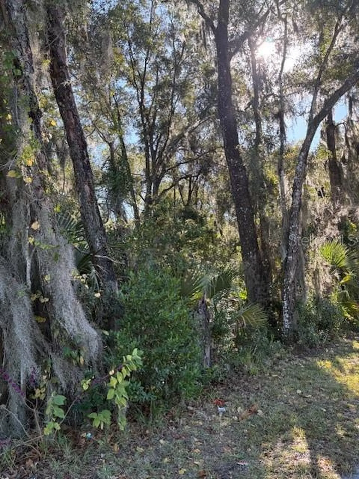 345 S Ridgewood Avenue Deland FL 32720