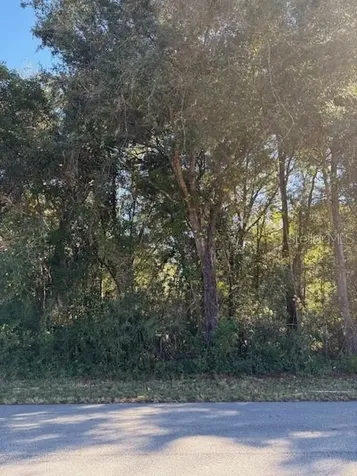 345 S Ridgewood Avenue Deland FL 32720
