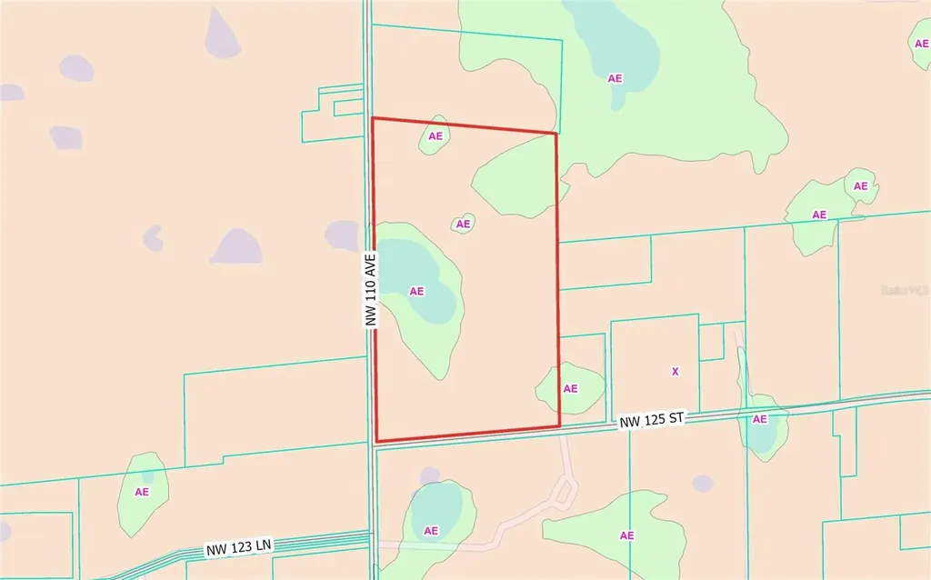 NW 110th Avenue Reddick FL 32686
