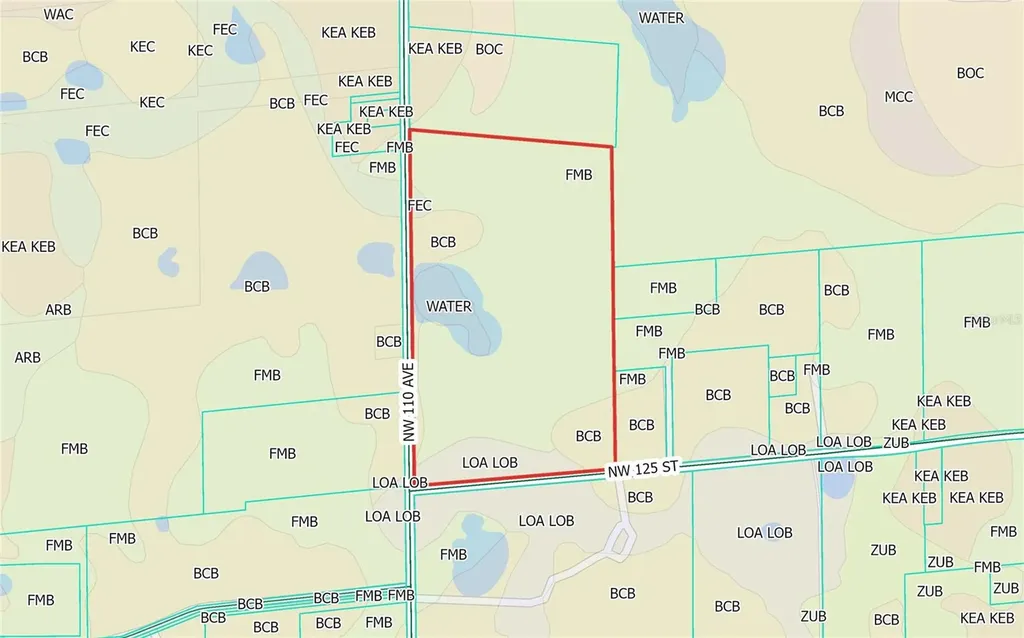 NW 110th Avenue Reddick FL 32686