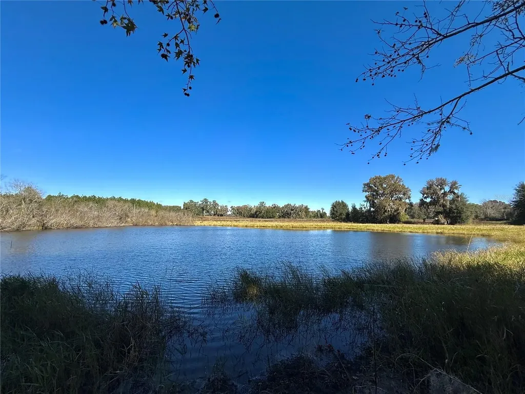 NW 110th Avenue Reddick FL 32686