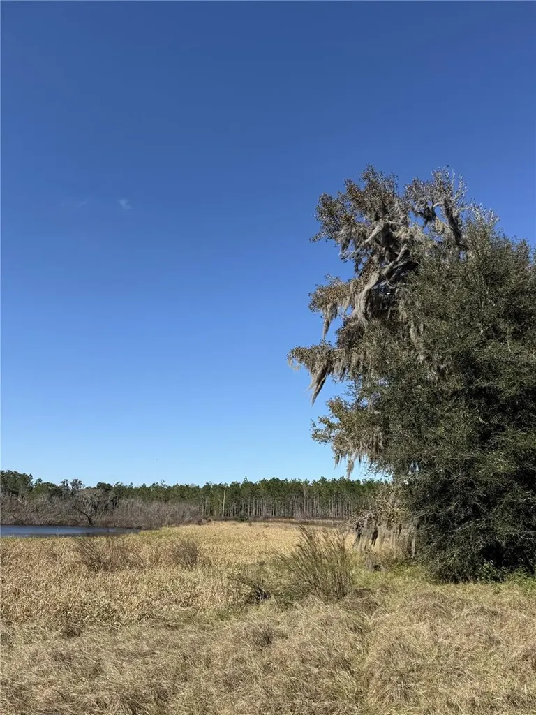 NW 110th Avenue Reddick FL 32686
