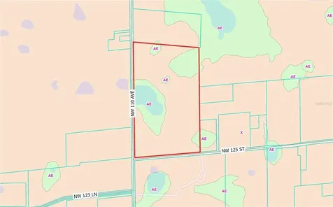 NW 110th Avenue Reddick FL 32686