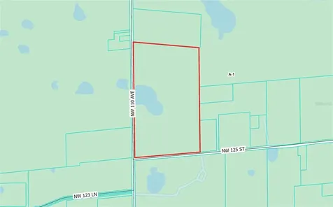 NW 110th Avenue Reddick FL 32686