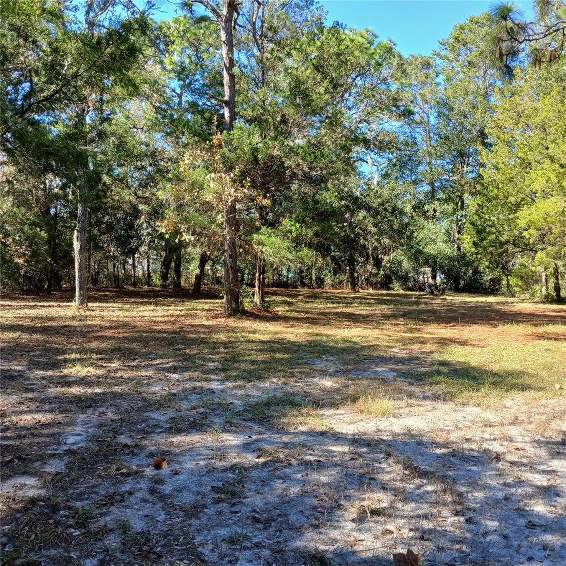 7050 S Sonata Avenue Homosassa FL 34446