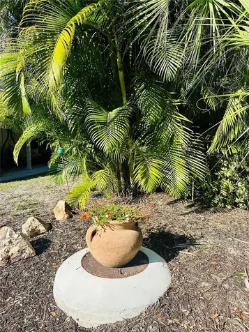 2208 Bahia Vista Street Sarasota FL 34239