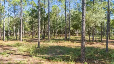 24250 Deep Springs Loop Eustis FL 32736