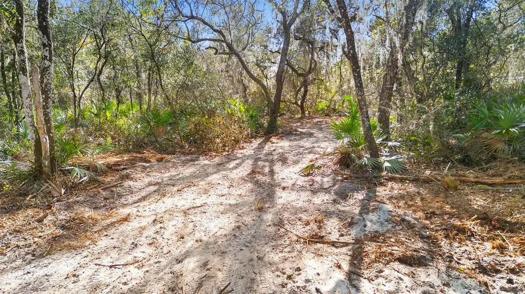 Tbd SE 256th Avenue Umatilla FL 32784