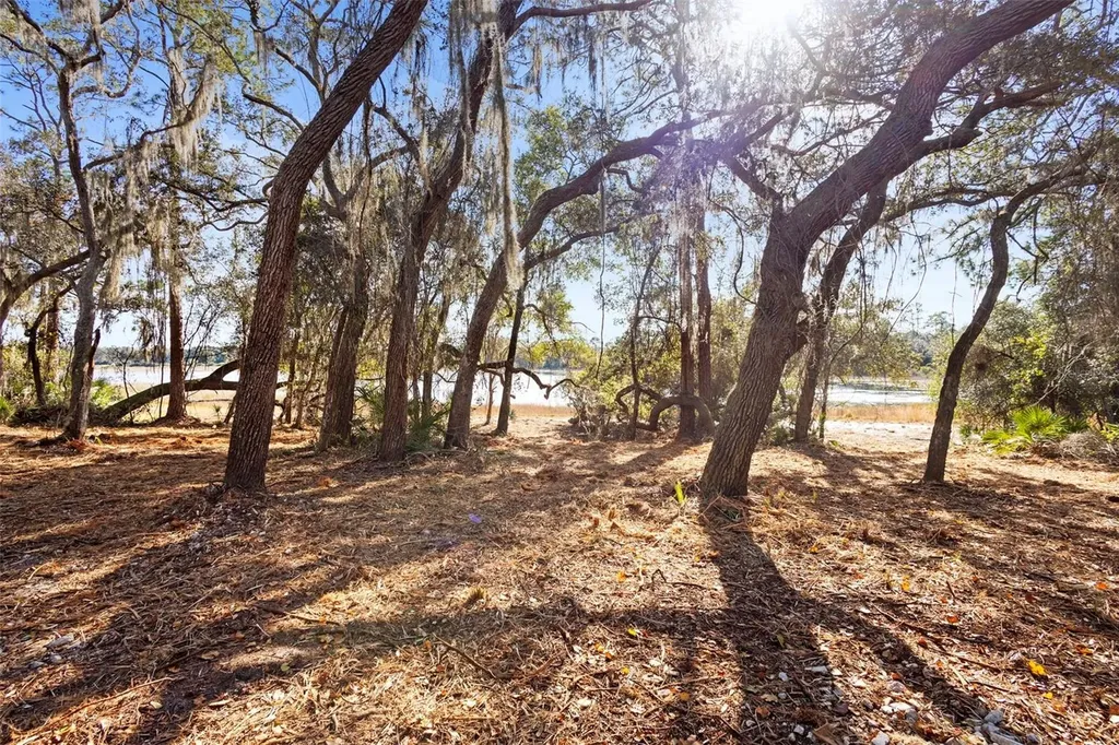 Tbd SE 256th Avenue Umatilla FL 32784