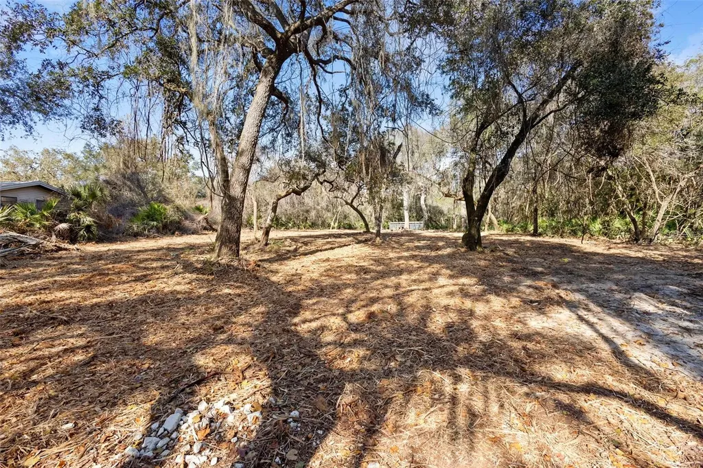 Tbd SE 256th Avenue Umatilla FL 32784