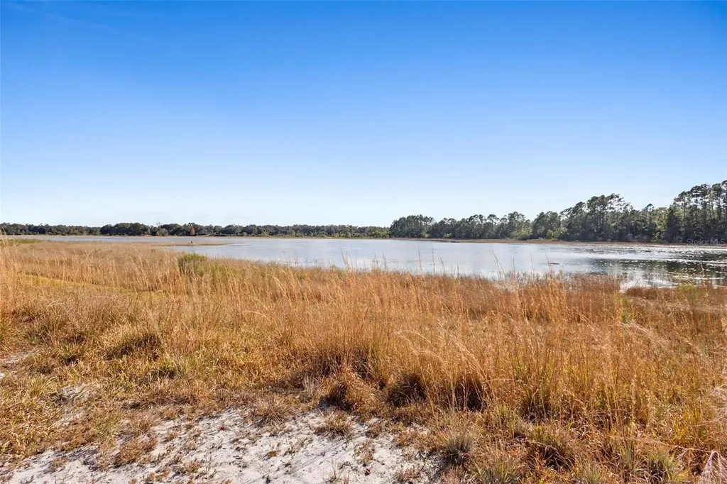 Tbd SE 256th Avenue Umatilla FL 32784