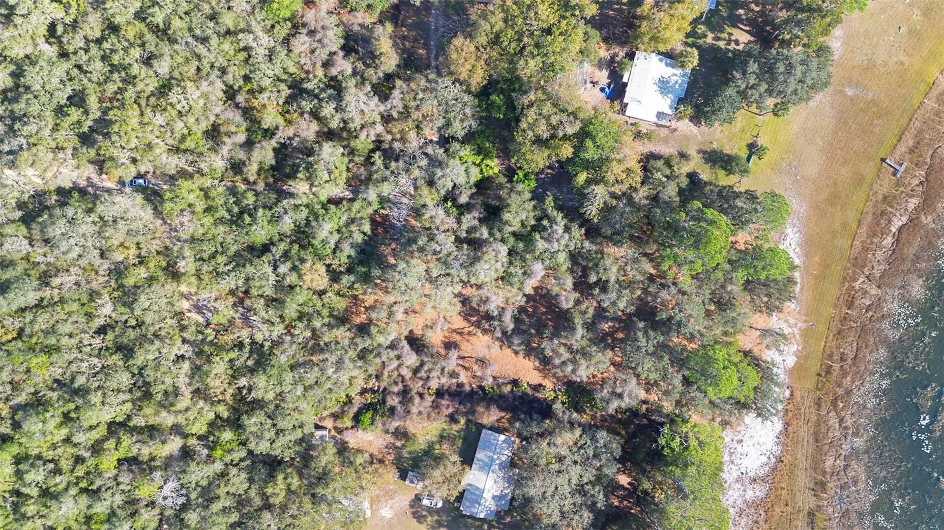 Tbd SE 256th Avenue Umatilla FL 32784