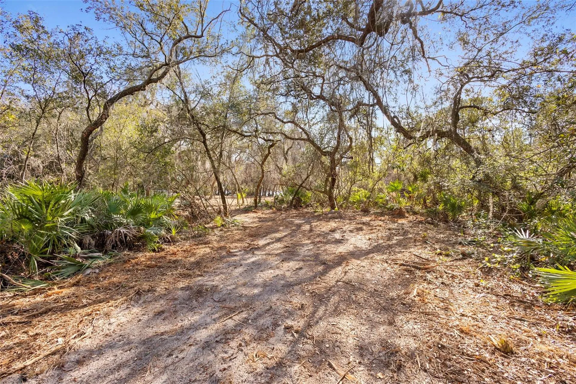 Tbd SE 256th Avenue Umatilla FL 32784
