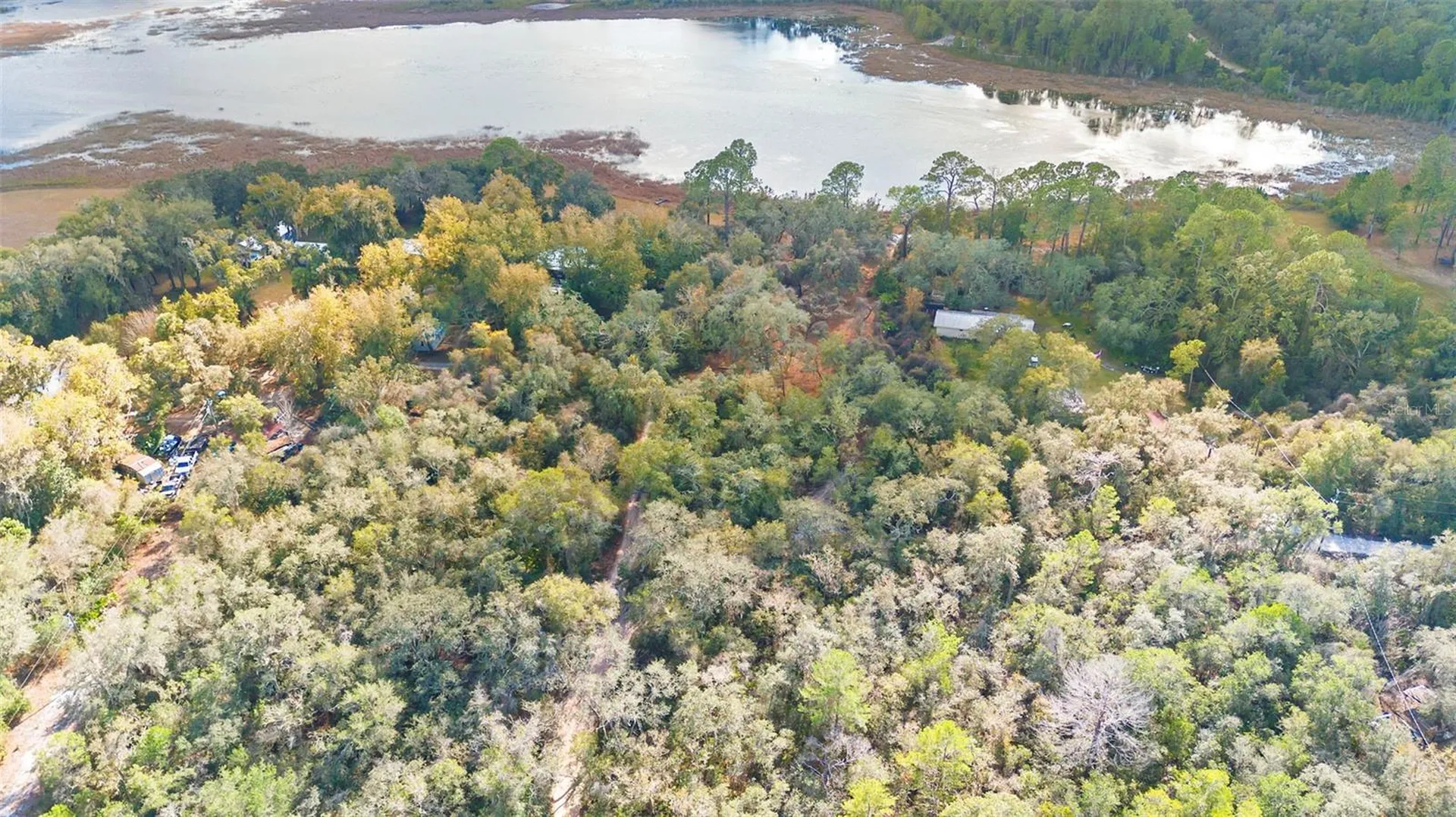 Tbd SE 256th Avenue Umatilla FL 32784