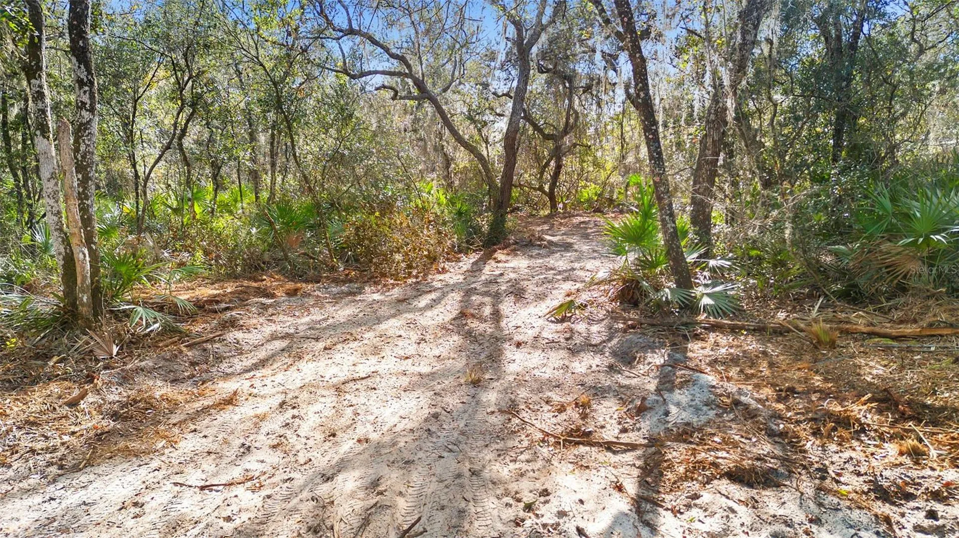 Tbd SE 256th Avenue Umatilla FL 32784