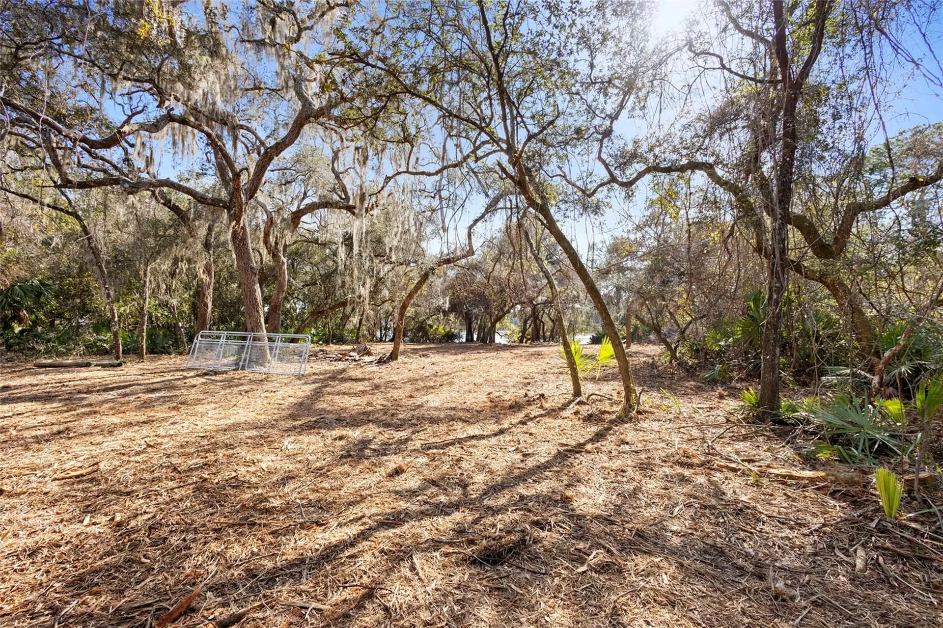 Tbd SE 256th Avenue Umatilla FL 32784