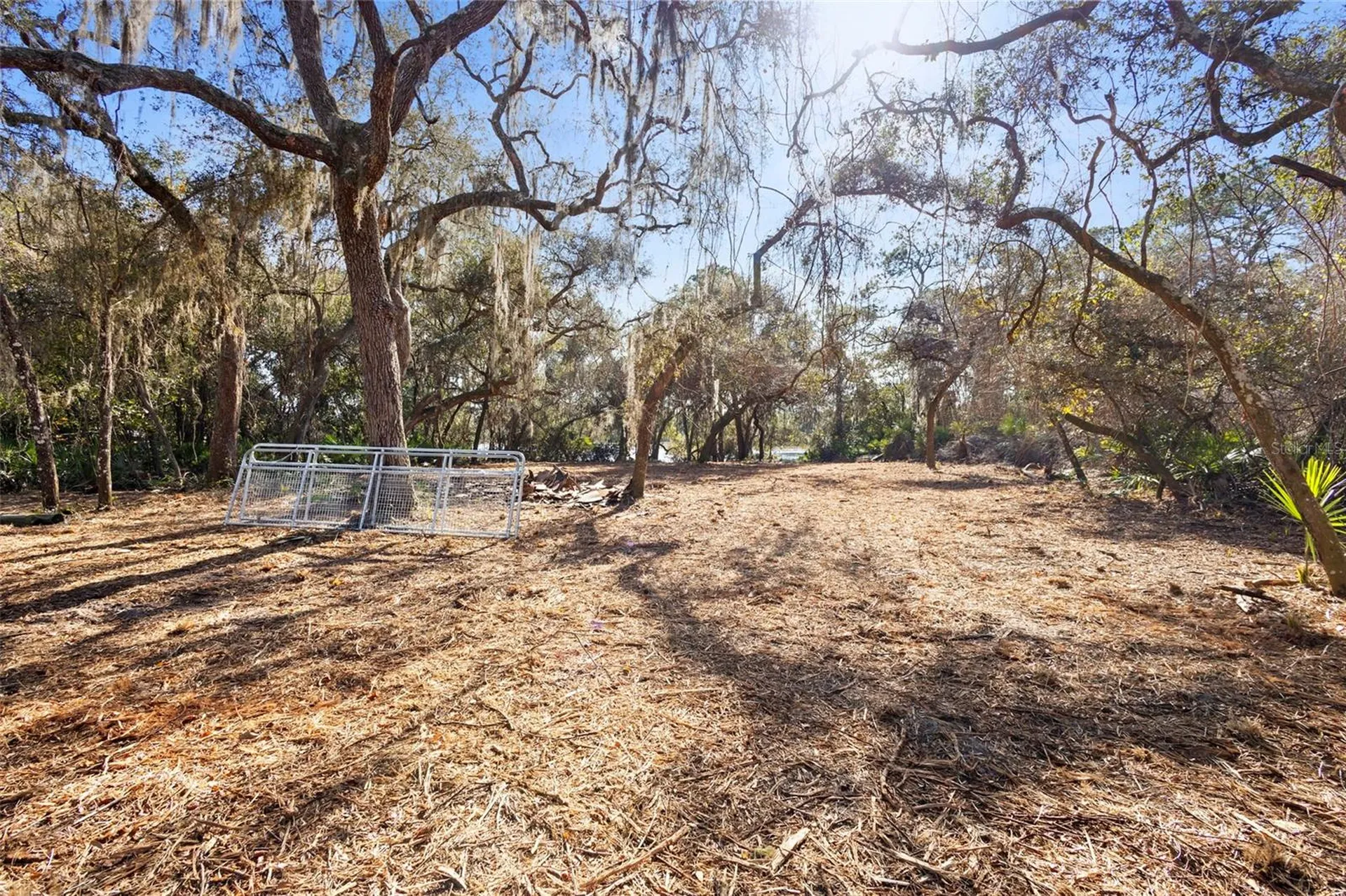 Tbd SE 256th Avenue Umatilla FL 32784