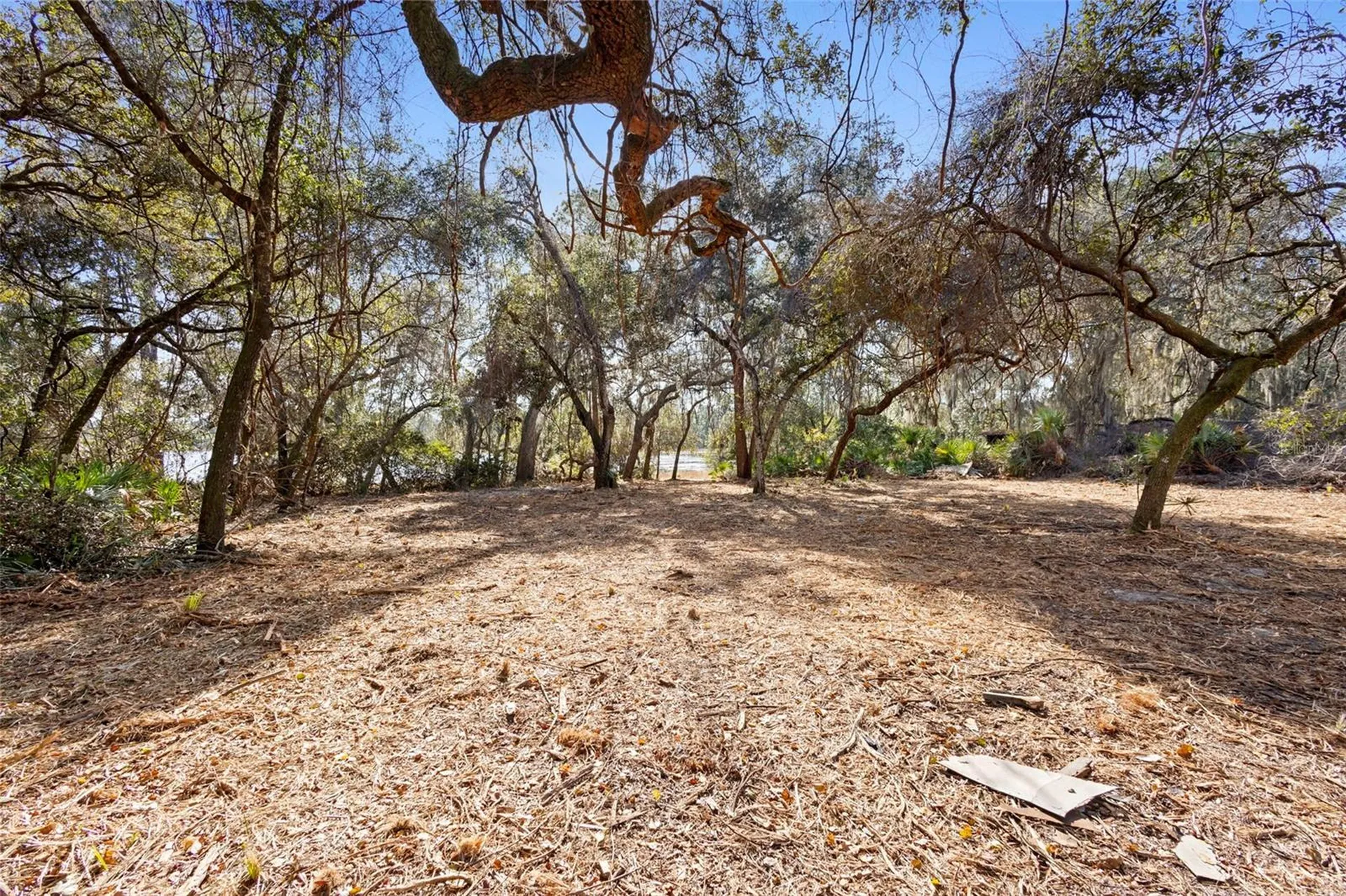 Tbd SE 256th Avenue Umatilla FL 32784