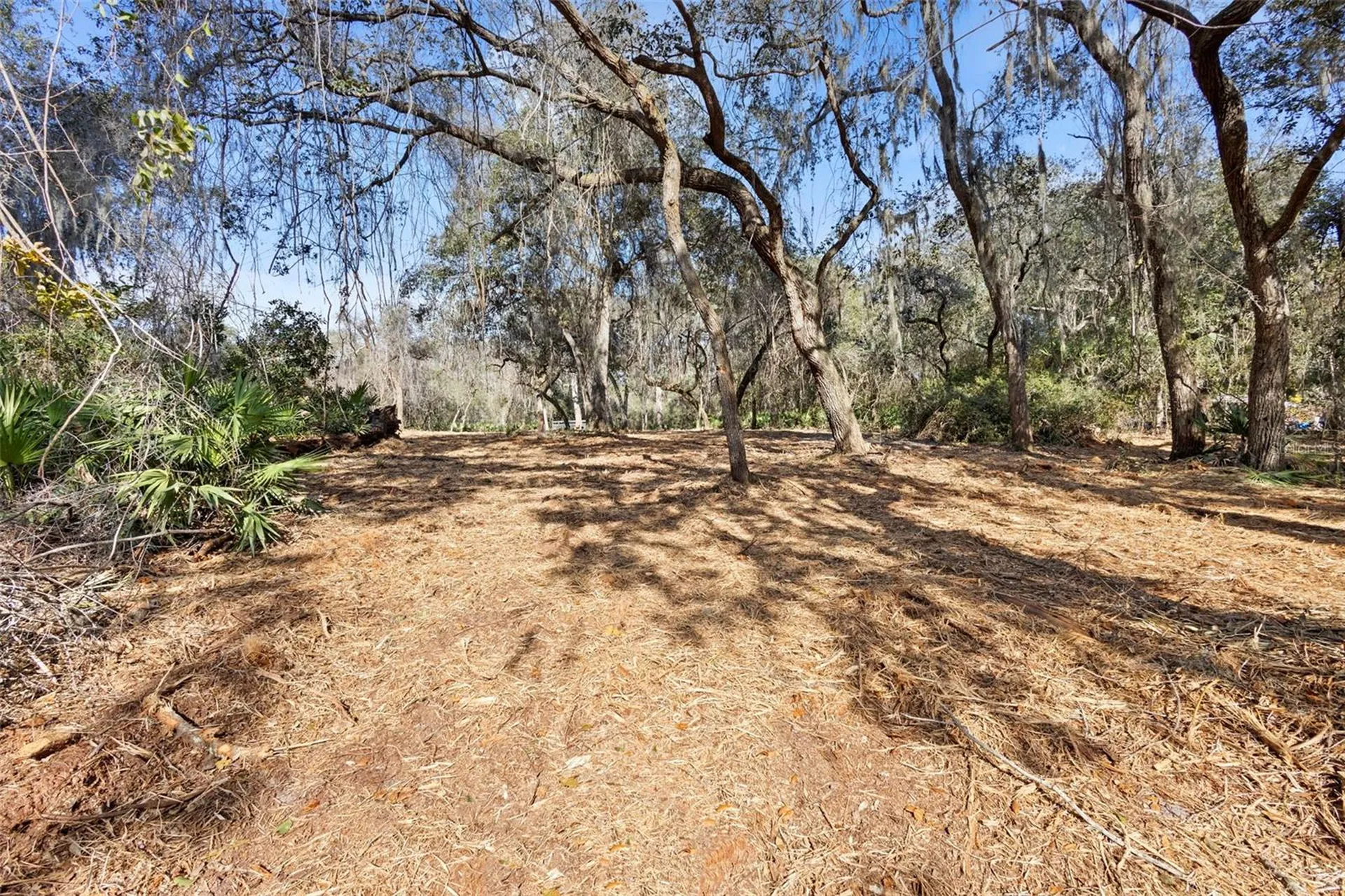 Tbd SE 256th Avenue Umatilla FL 32784