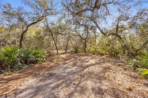 Tbd SE 256th Avenue Umatilla FL 32784