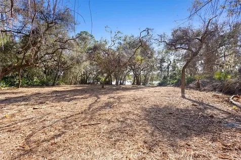 Tbd SE 256th Avenue Umatilla FL 32784