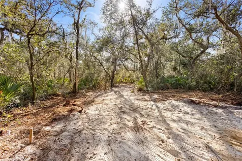 Tbd SE 256th Avenue Umatilla FL 32784