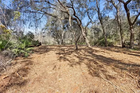 Tbd SE 256th Avenue Umatilla FL 32784