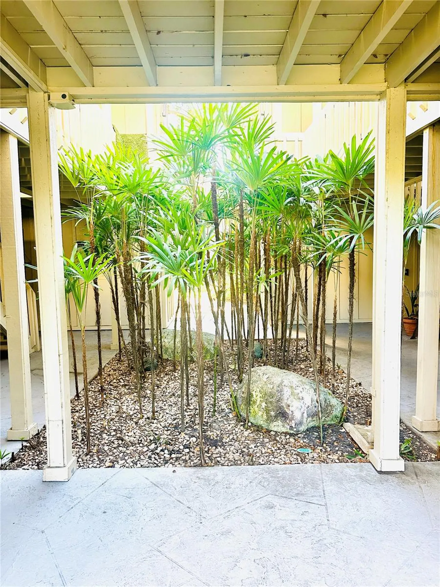 2200 Bahia Vista Street Sarasota FL 34239