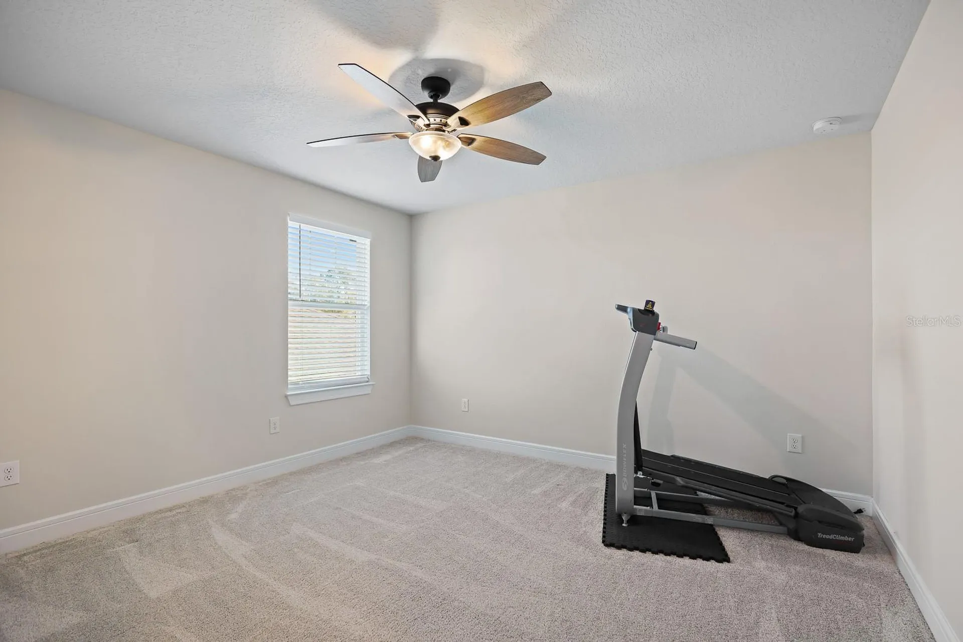 12945 Brookside Moss Drive Riverview FL 33579